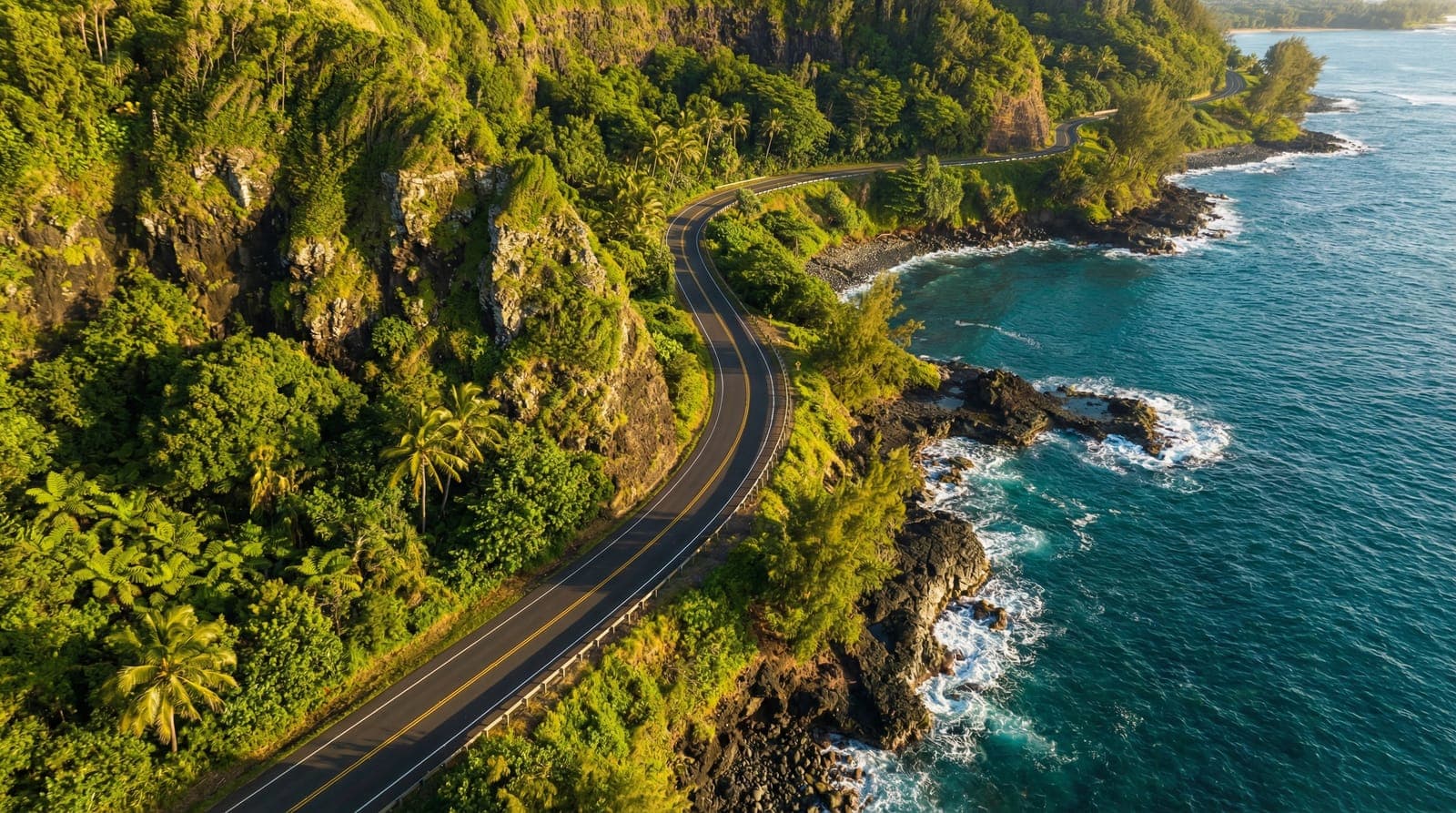 Alp Hawaii car rental statistics background